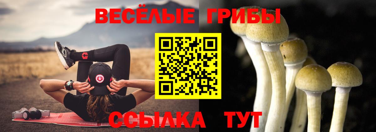 Пушкино  Галлюциногенные грибы Cubensis  Вход с VPN 